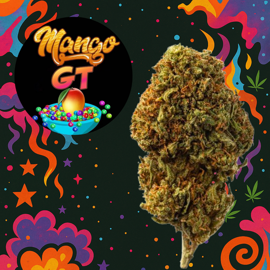 MANGO GT INDOOR FLORES CBD