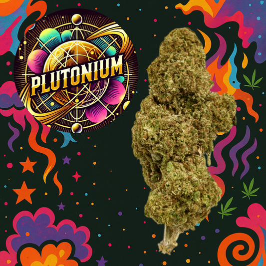 PLUTONIUM INDOOR FLORES CBD